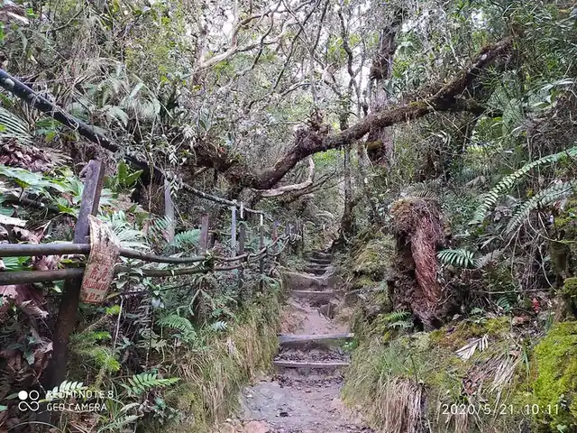 神山日出雲海